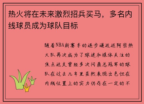 热火将在未来激烈招兵买马，多名内线球员成为球队目标