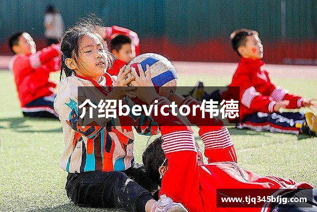 介绍bevictor伟德